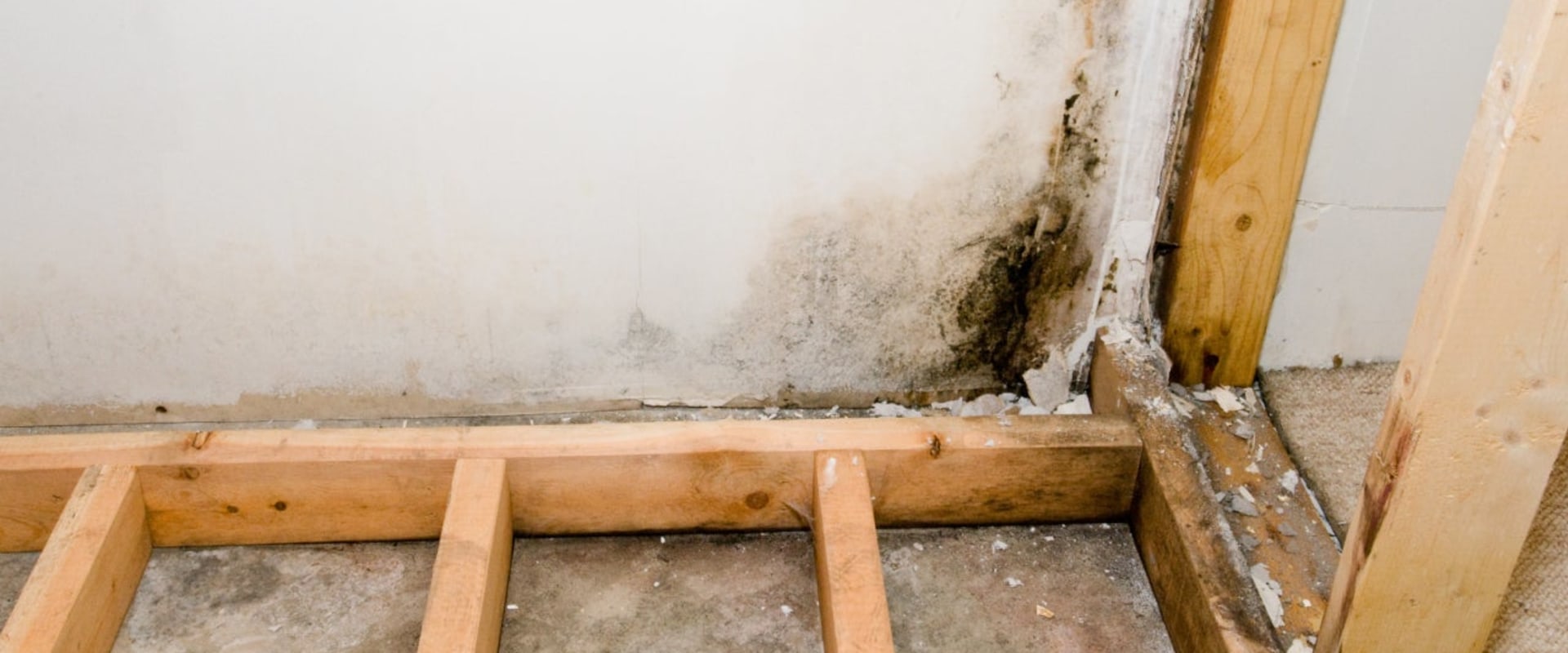 When does homeowners insurance cover mold?