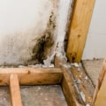 When does homeowners insurance cover mold?