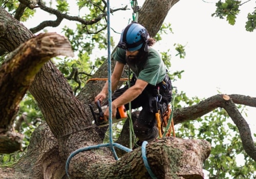 Can home insurance cover tree removal?