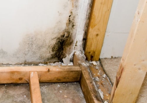 When does homeowners insurance cover mold?